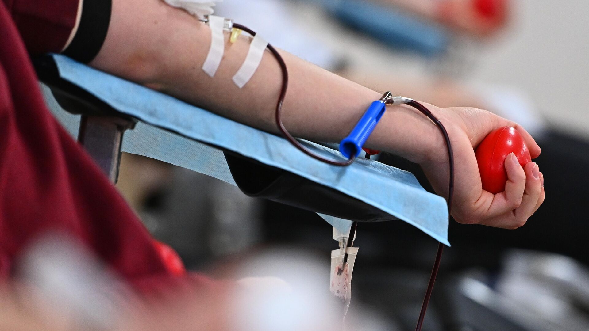 В российских вузах предложили проводить посвящённые донорству крови мероприятия